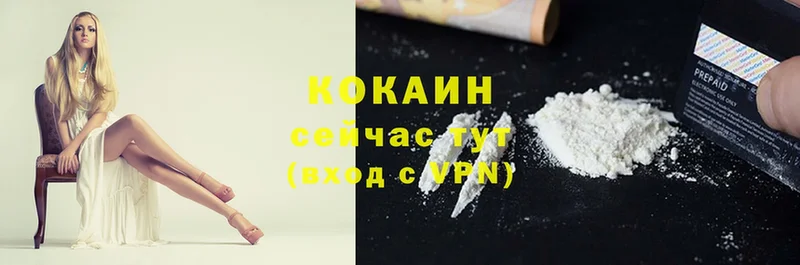 Кокаин Fish Scale  где купить   Лысково 