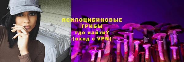 ГАЛЛЮЦИНОГЕННЫЕ ГРИБЫ Верхнеуральск